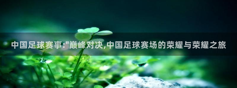 mk体育平台网页在线看